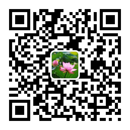 ȫ��������Ƭ΢�Ŷ�ά��