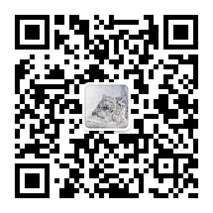 ѩ����ʷ΢�Ŷ�ά��